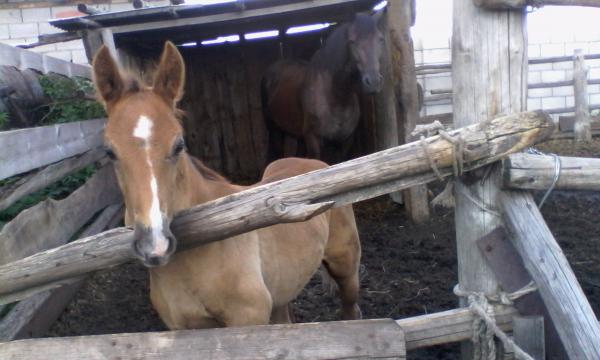 IMG 20140620 160736