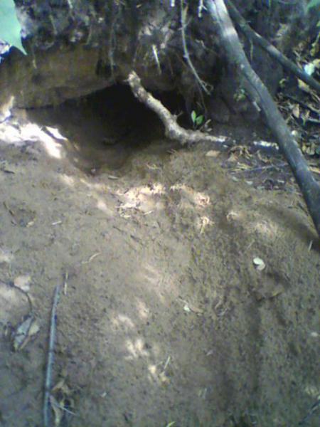 IMG0032B